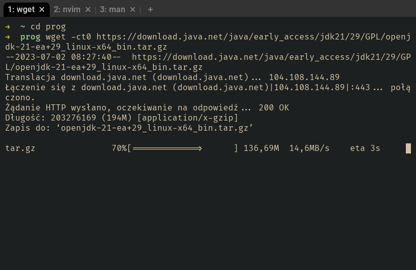 /en/posts/2023-07-02_instalacja_javy21/wget.png